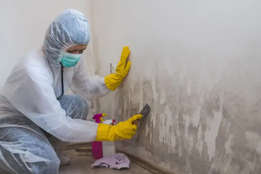 water damage restoration service Parkwood Ranch